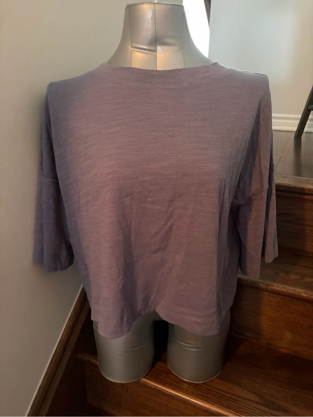 Mustard Seed Blue Boxy Crewneck Crop Top
